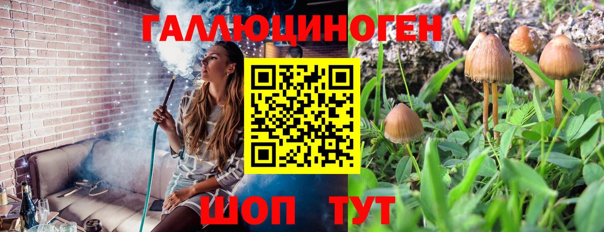 продажа наркотиков  Галлюциногенные грибы Cubensis  Вход с VPN  Крымск 