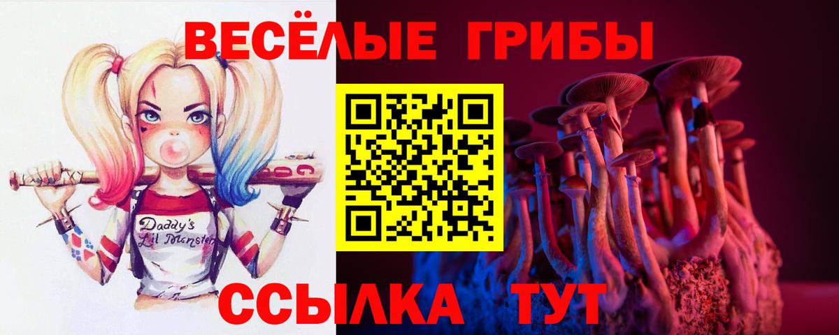 Псилоцибиновые грибы Psilocybe Крымск